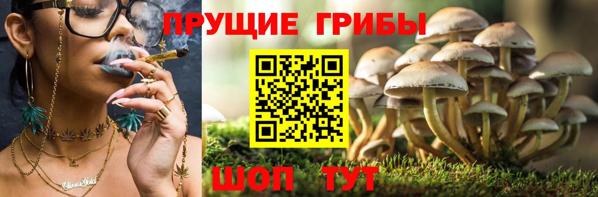 Находка  наркошоп  Вход с VPN  Псилоцибиновые грибы Cubensis 